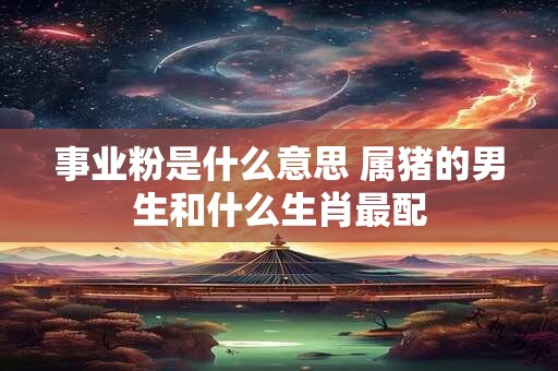 事业粉是什么意思 属猪的男生和什么生肖最配