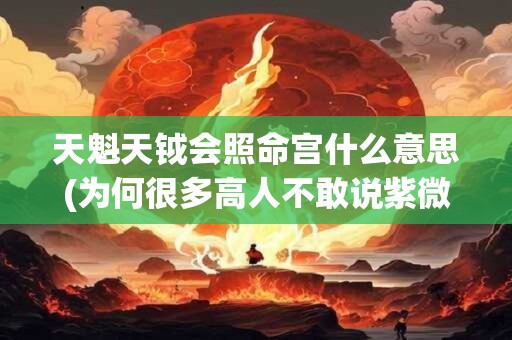 天魁天钺会照命宫什么意思(为何很多高人不敢说紫微星)