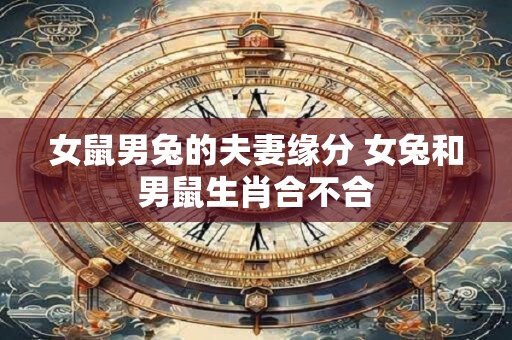 女鼠男兔的夫妻缘分 女兔和男鼠生肖合不合