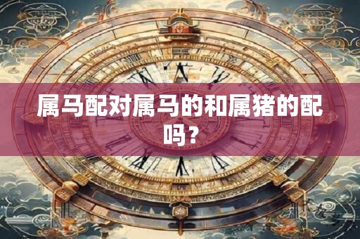 属马配对属马的和属猪的配吗？