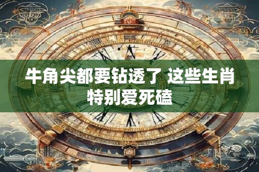 牛角尖都要钻透了 这些生肖特别爱死磕