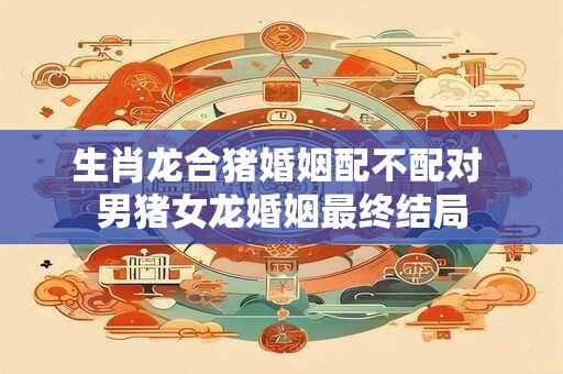 生肖龙合猪婚姻配不配对 男猪女龙婚姻最终结局