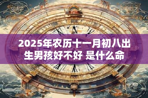 2025年农历十一月初八出生男孩好不好 是什么命