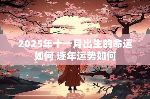 2025年十一月出生的命运如何 逐年运势如何