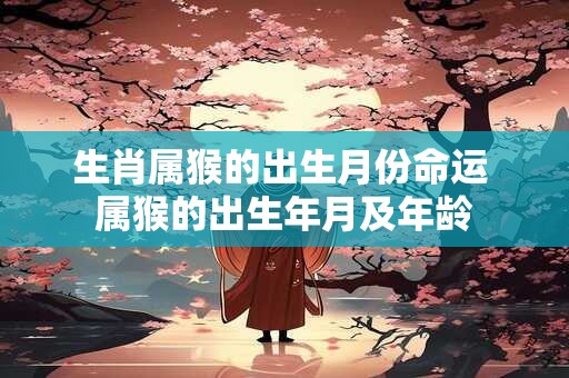 生肖属猴的出生月份命运 属猴的出生年月及年龄