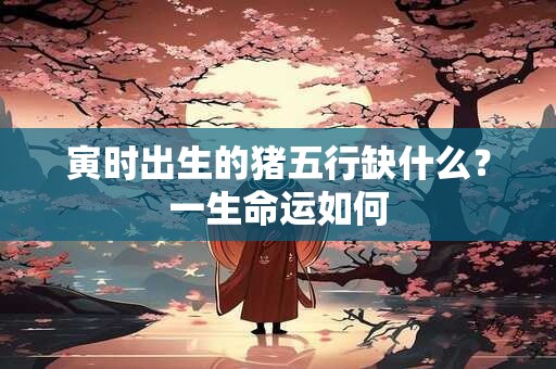 寅时出生的猪五行缺什么？一生命运如何