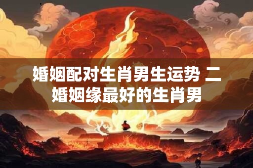 婚姻配对生肖男生运势 二婚姻缘最好的生肖男