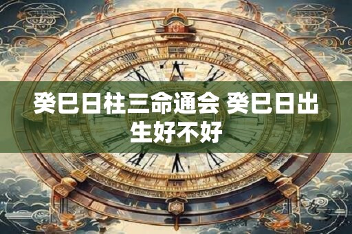癸巳日柱三命通会 癸巳日出生好不好