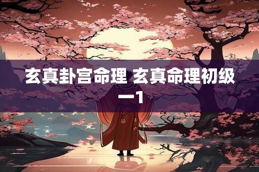 玄真卦宫命理 玄真命理初级一1