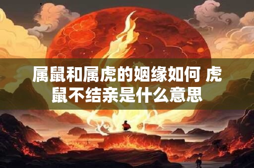 属鼠和属虎的姻缘如何 虎鼠不结亲是什么意思