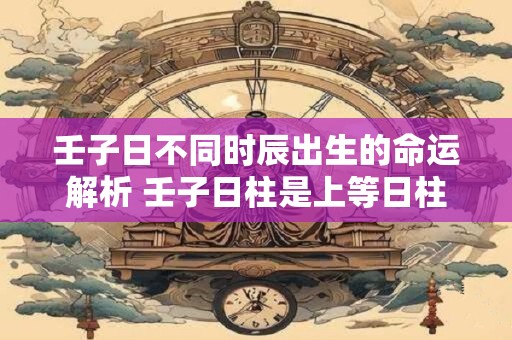 壬子日不同时辰出生的命运解析 壬子日柱是上等日柱吗