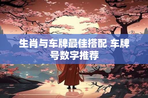 生肖与车牌最佳搭配 车牌号数字推荐