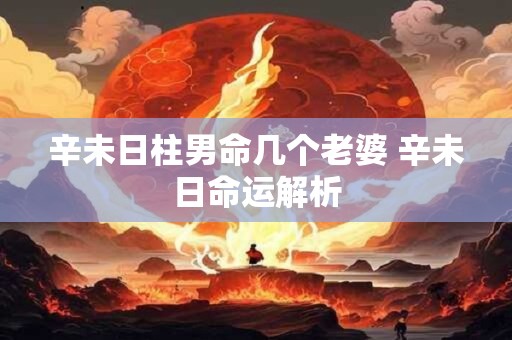 辛未日柱男命几个老婆 辛未日命运解析