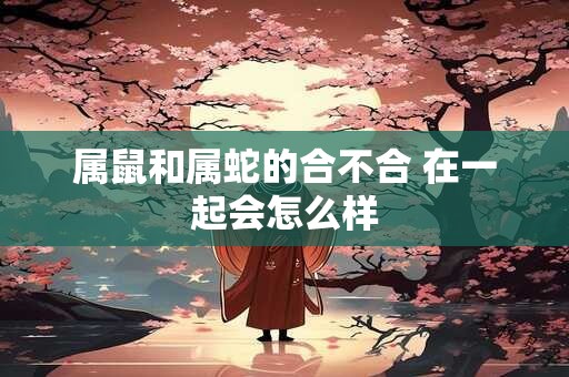 属鼠和属蛇的合不合 在一起会怎么样