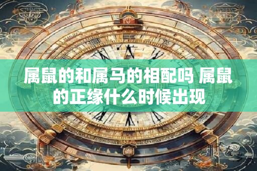 属鼠的和属马的相配吗 属鼠的正缘什么时候出现