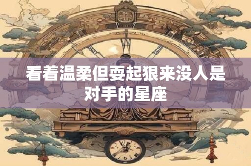 看着温柔但耍起狠来没人是对手的星座