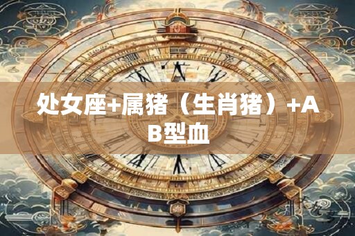 处女座+属猪（生肖猪）+AB型血