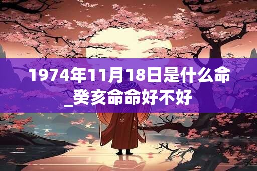 1974年11月18日是什么命_癸亥命命好不好