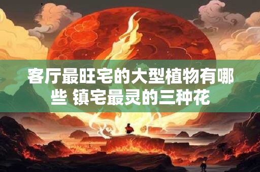 客厅最旺宅的大型植物有哪些 镇宅最灵的三种花