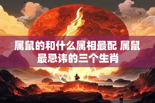 属鼠的和什么属相最配 属鼠最忌讳的三个生肖