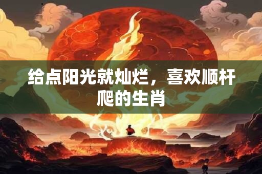 给点阳光就灿烂，喜欢顺杆爬的生肖