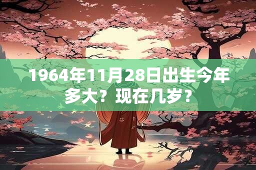 1964年11月28日出生今年多大？现在几岁？