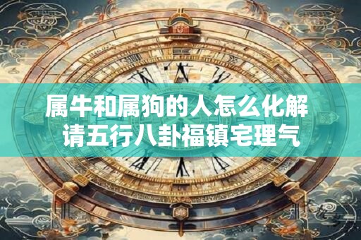 属牛和属狗的人怎么化解 请五行八卦福镇宅理气