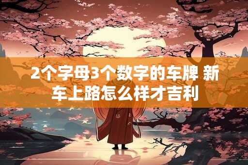 2个字母3个数字的车牌 新车上路怎么样才吉利