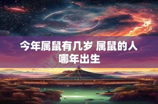 今年属鼠有几岁 属鼠的人哪年出生