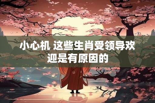 小心机 这些生肖受领导欢迎是有原因的