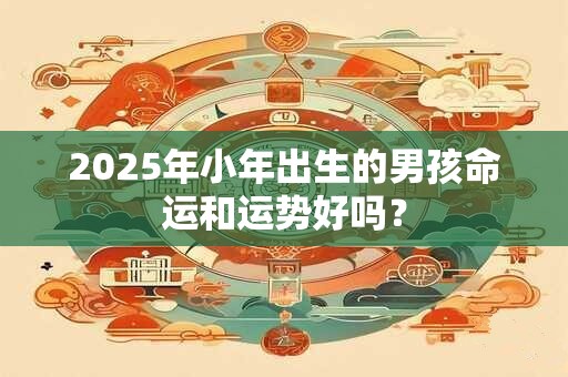 2025年小年出生的男孩命运和运势好吗？