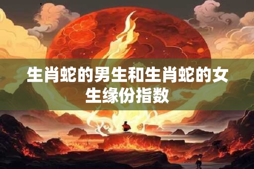 生肖蛇的男生和生肖蛇的女生缘份指数