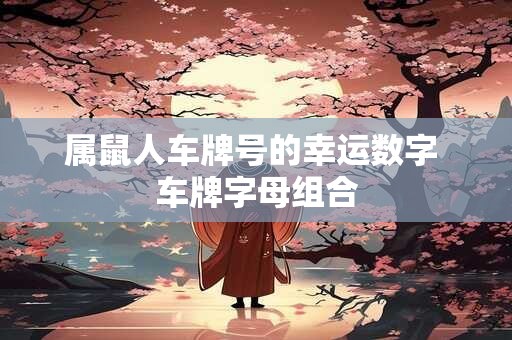 属鼠人车牌号的幸运数字 车牌字母组合