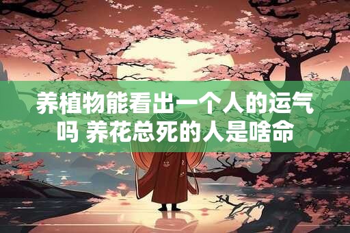 养植物能看出一个人的运气吗 养花总死的人是啥命