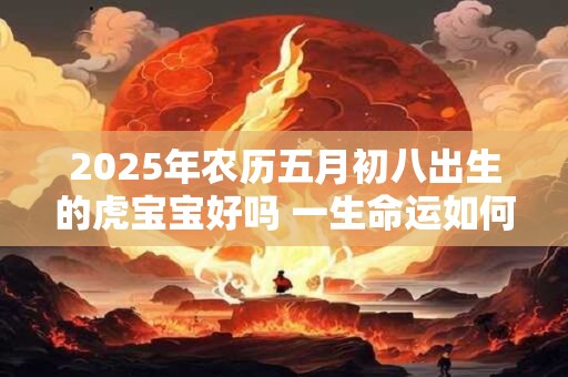 2025年农历五月初八出生的虎宝宝好吗 一生命运如何