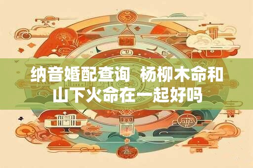 纳音婚配查询  杨柳木命和山下火命在一起好吗