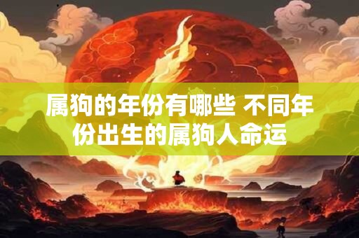 属狗的年份有哪些 不同年份出生的属狗人命运