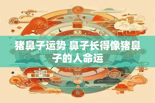 猪鼻子运势 鼻子长得像猪鼻子的人命运