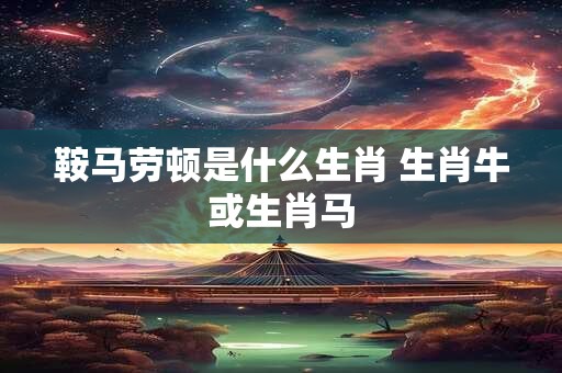 鞍马劳顿是什么生肖 生肖牛或生肖马