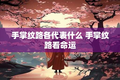 手掌纹路各代表什么 手掌纹路看命运