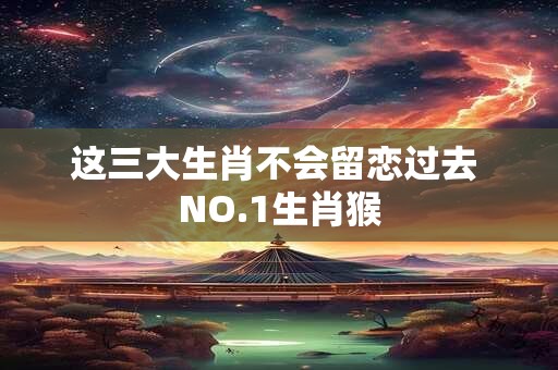 这三大生肖不会留恋过去 NO.1生肖猴