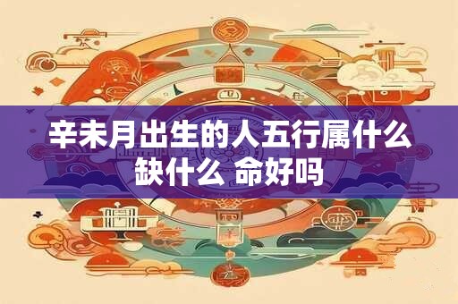 辛未月出生的人五行属什么缺什么 命好吗