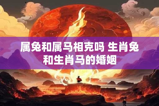 属兔和属马相克吗 生肖兔和生肖马的婚姻
