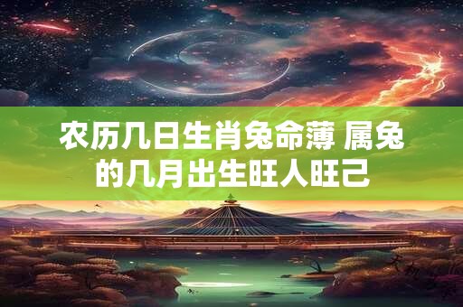 农历几日生肖兔命薄 属兔的几月出生旺人旺己