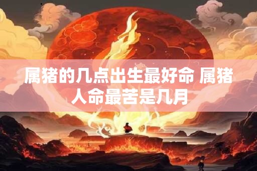 属猪的几点出生最好命 属猪人命最苦是几月