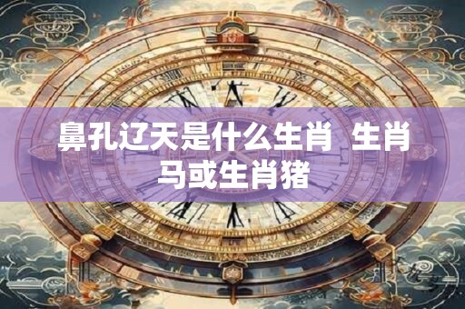 鼻孔辽天是什么生肖  生肖马或生肖猪