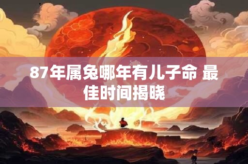 87年属兔哪年有儿子命 最佳时间揭晓