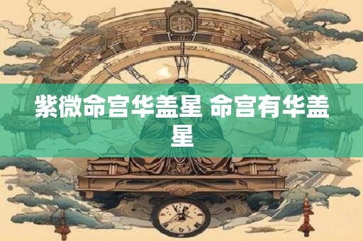 紫微命宫华盖星 命宫有华盖星