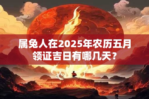 属兔人在2025年农历五月领证吉日有哪几天？