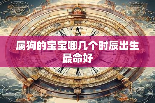 属狗的宝宝哪几个时辰出生最命好